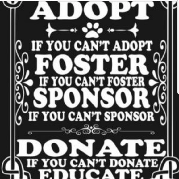 ππBuy One Get One π Rescue - Foster Support ππ - Picture 1 of 6